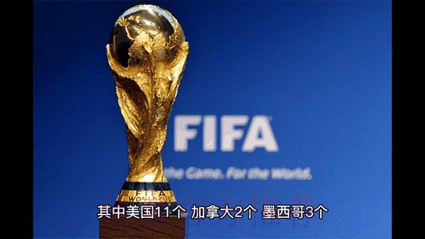 2026世界杯中国体育彩票全程动态追踪